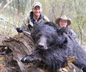 Idaho Spring Bear Hunts, Idaho Bear Hunts, Idaho Fall Bear Hunts, Idaho Black Bear Hunts
