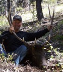 Backcountry elk hunting idaho