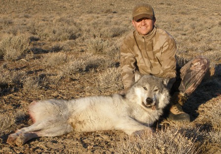 Idaho Wolf Hunting, Wolf Hunting in Idaho, Unit 27 Wolf Hunting, Moutain Lion Hunting. Idaho Predator Hunts.
