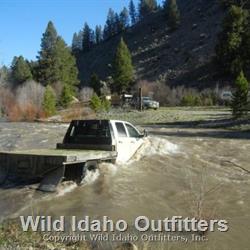 Bear Hunting In the Frank Church River of No Return Wilderness 123.jpg