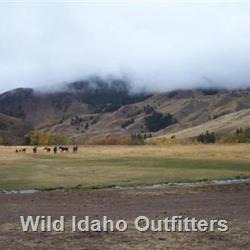 04 Getting the horses off the pasture.jpg