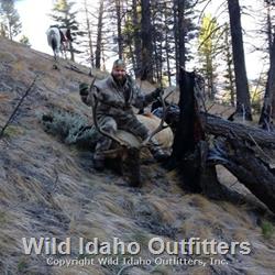 Area 28 bull.jpg