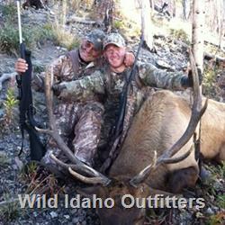 Father son elk.jpg