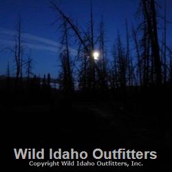 Moonlight over the Frank.jpg