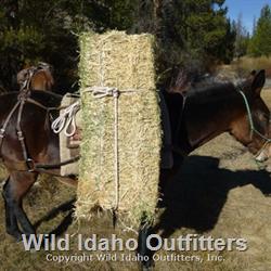 Packing Hay.jpg