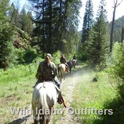 PonyTail express.jpg