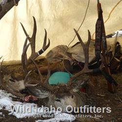 Local hunters mule deer harvest late season Idaho.jpg