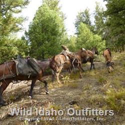 Does it look steep now.jpg