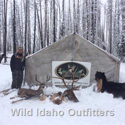 WIO deer elk bear 2017.jpg
