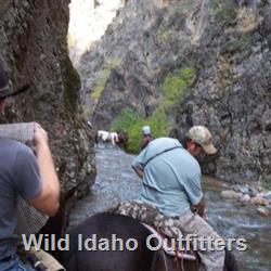 15 Exploring and looking for elk.jpg