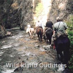 16 Exploring and looking for elk.jpg
