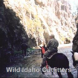 17 Exploring and looking for elk.jpg