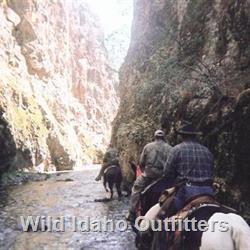 18 Exploring and looking for elk.jpg