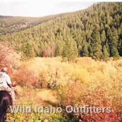 20 Exploring and looking for elk and enjoying the amazing colors.jpg