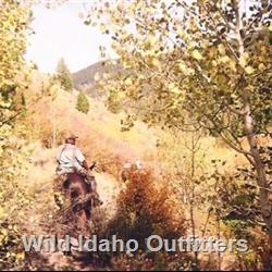 21 Exploring and looking for elk and enjoying the amazing colors.jpg