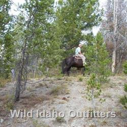 22 Exploring and looking for elk.jpg