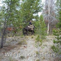 23 Exploring and looking for elk.jpg