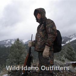 25 Where are all the bears.jpg