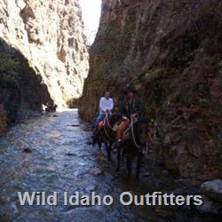 26 Still no bears.jpg