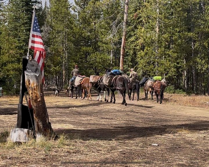 Old Glory flying in Wild Idaho Outfitters camp 2025