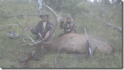 375 inch BC 2014 bull