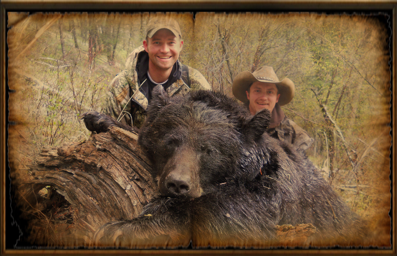 Enter to win Fall Bear Hunt